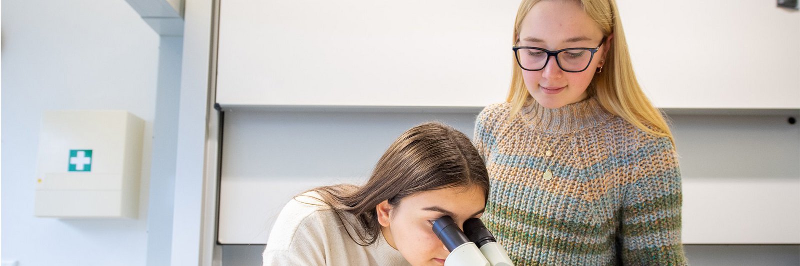 Schülerinnen beim Forschen