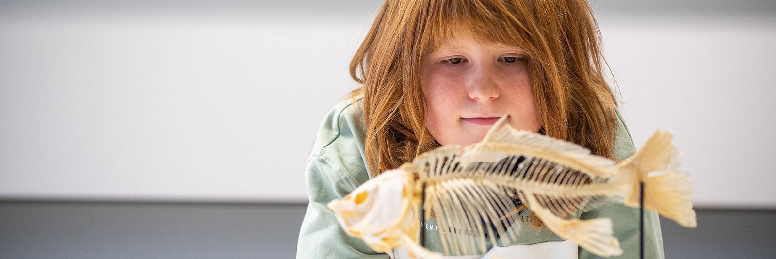 Von klein auf Bildung